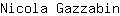 N***n