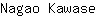 N***e
