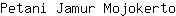 P***o