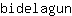 b***n