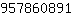 9***1
