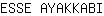 E***I