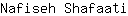 N***i