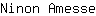 N***e