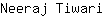 N***i