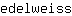 e***s