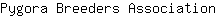 P***n