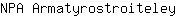 N***y