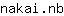 n***b