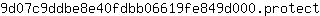 9***t