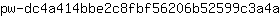 p***a