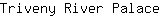 T***e