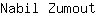N***t