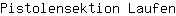 P***n
