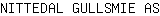 N***S