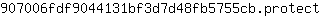 9***t