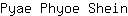 P***n