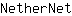 N***t