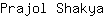 P***a