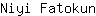 N***n
