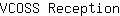 V***n