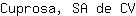 C***V