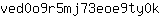 v***k