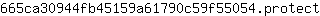 6***t