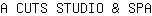 A***A