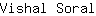 V***l