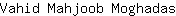 V***s