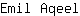 E***l