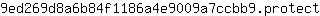 9***t