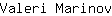 V***v