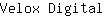 V***l