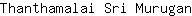 T***n