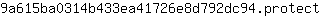 9***t