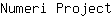 N***t