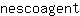 n***t