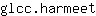 g***t