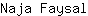 N***l