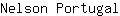 N***l