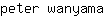 p***a