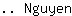 .. N***n