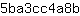 5***b
