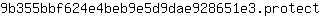 9***t