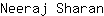 N***n
