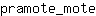 p***e
