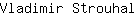 V***l