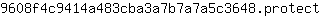 9***t